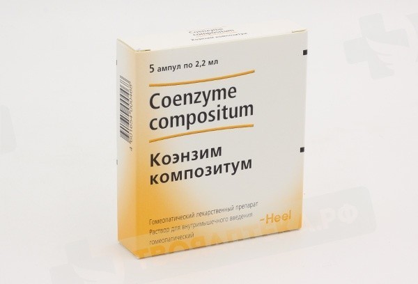 KOYENZIM KOMPOZITUM 2,2ML AMP N5